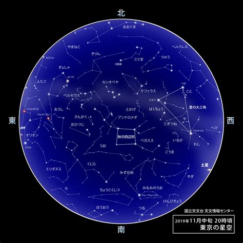 11月25日是什麼星座|11月25日生日书（射手座）